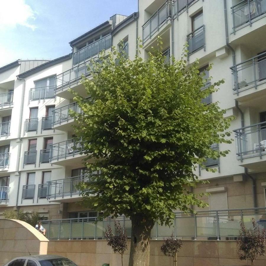 מידזיזדרויה Apartament Flauta, Villa Marea מראה חיצוני תמונה